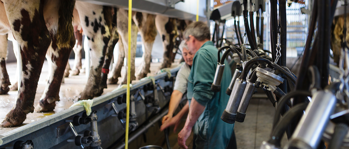 Le Compte Épargne Temps offre des avantages à la fois pour l’employeur et le salarié. © Photo L.PAGE - CNIEL