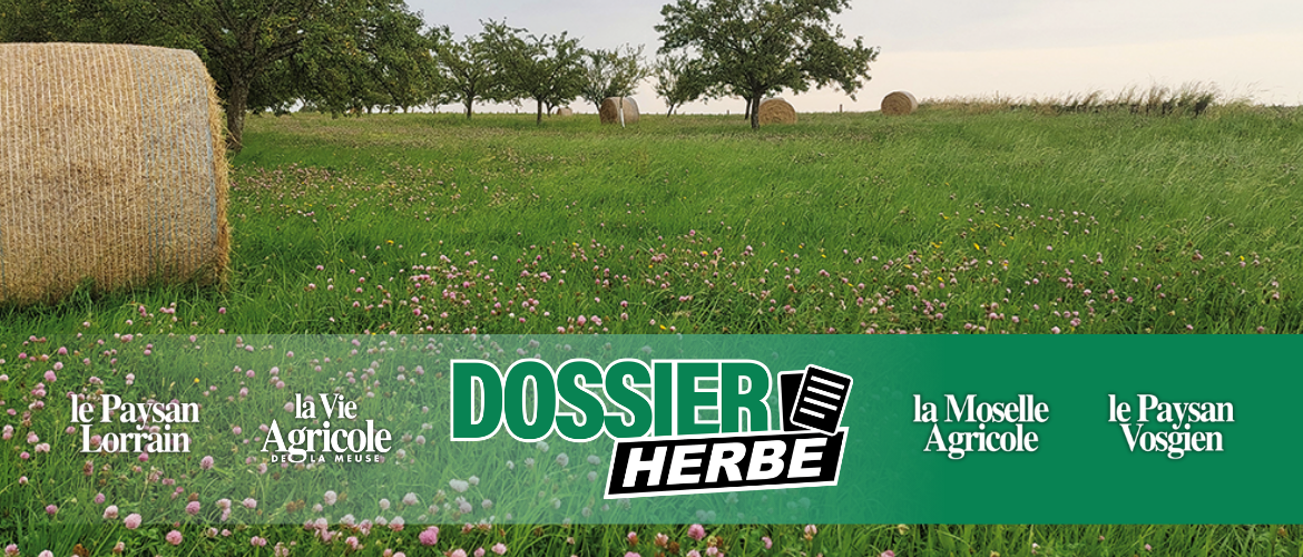 Culture d’herbe sur le périmètre de protection de captage de Beuvezin en Meurthe-et-Moselle. Les terrains sont la propriété de la commune qui a mis en place un bail environnemental. © Pierre DIVOUX