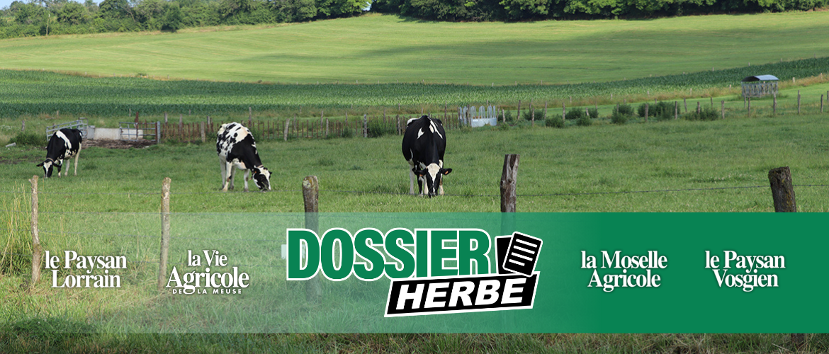 «Les systèmes basés sur l’herbe présentent une capacité à encaisser les chocs sur un temps long, avec des marges plus stables» explique Benoit Delmas. © Justine JORIS
