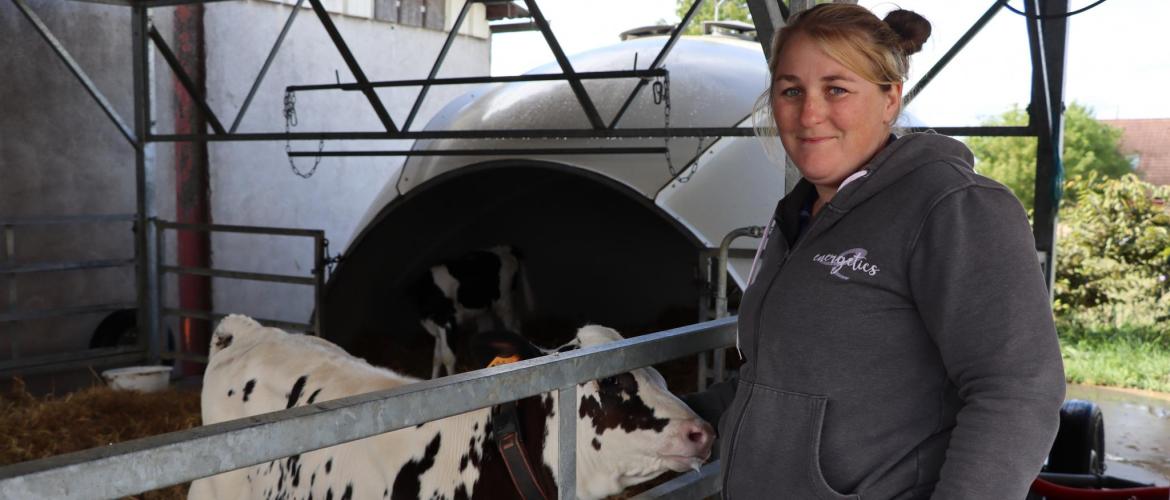 Selon les premières impressions d’Adelaïde Bardini, avec le programme Ghp, le niveau de production serait plus homogène entre  les vaches du troupeau. Photo : H.Flamant