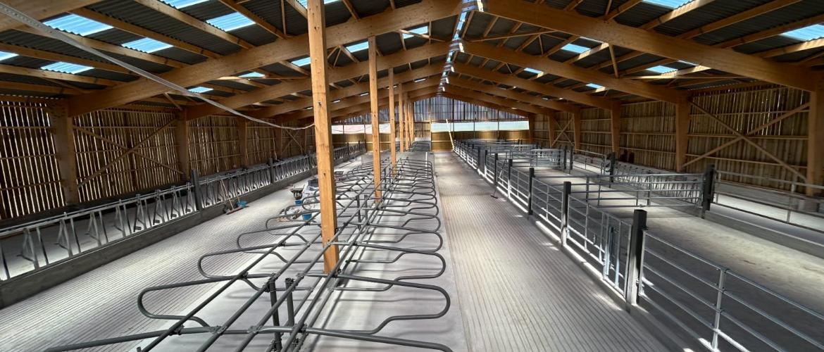 AGRIBAT CONCEPT propose de vous accompagner dans la conception et construction de bâtiment avec des logettes. (crédit photo : AGRIBAT CONCEPT)