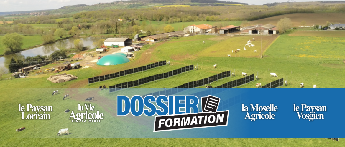 La spécialisation DEfi s’intéresse à la question de la transition énergétique avec, en appui aux enseignements, la ferme expérimentale de La Bouzule. (Crédit photo : A.Laflotte)