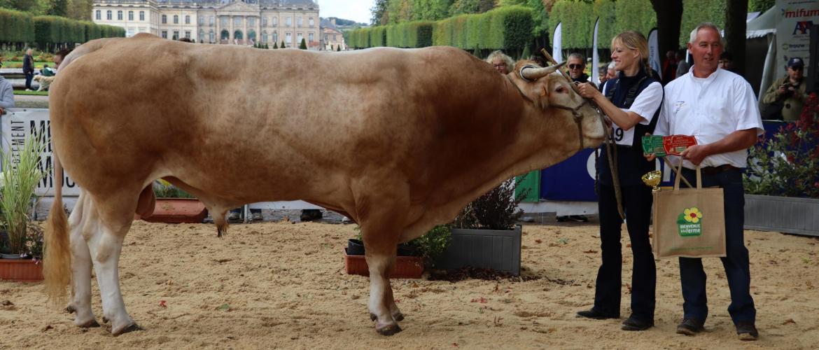 Porsche, de Jean-Luc Collignon, s’est vu attribué deux titres : champion mâle adulte et meilleur animal du concours. Son imposante longueur et hauteur ont impressionné les amateurs réunis autour du ring. (crédit photo : JJ) 