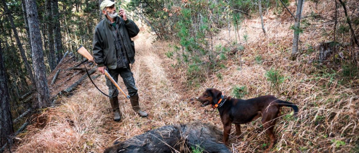 Les restrictions de l’ONF vont donc dans le sens de la position unanime des organisations agricoles du département, qui restent opposées à l’agrainage. Photo : D. R.