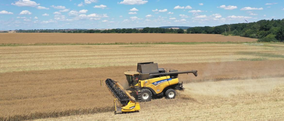 Une fois la maturité du colza atteinte, un bon réglage de la  moissonneuse-batteuse per- mettra de clôturer efficace- ment la campagne 2025. Photo : L.Jung