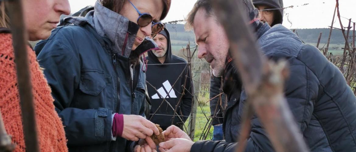 Après une matinée en salle, les viticulteurs lorrains ont pu mettre en pratique les apprentissages. Photo DR.