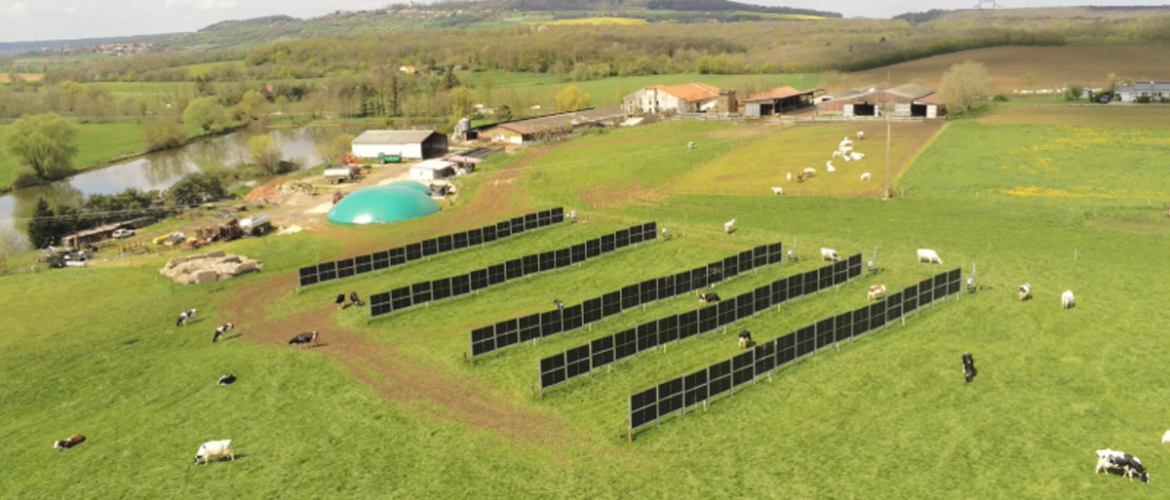 Avec l’implantation de ces « haies » photovoltaïques, la ferme de La Bouzule entend « donner de la valeur ajoutée aux prairies et améliorer le revenu des éleveurs ». Photo DR.