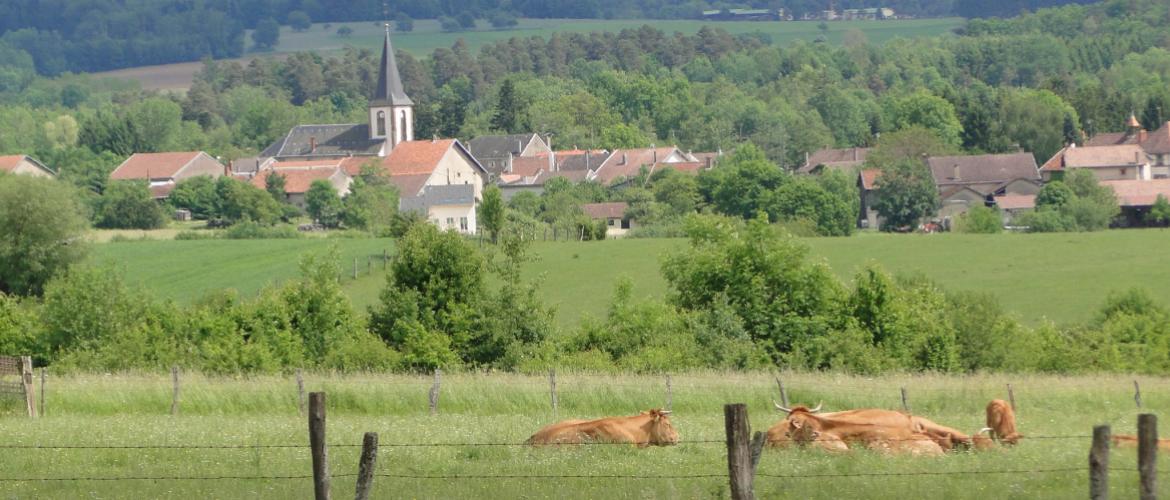 Donner à l’administrateur une visibilité et une légitimité pour interagir avec les communautés de communes. Photo : DR