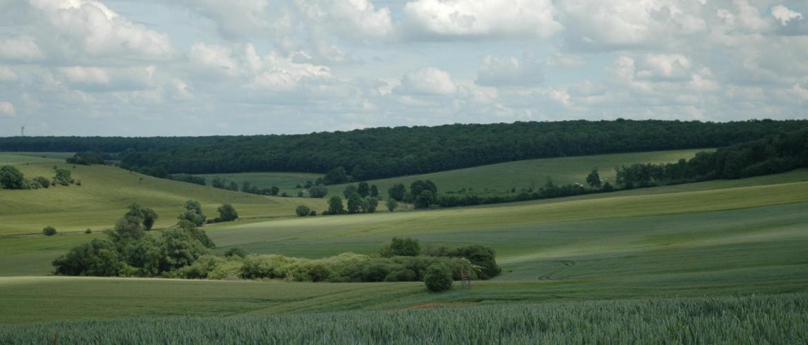 A l'avenir, le montant de base de la DJA ne devrait plus être assorti que de trois types de prime. Photo d'archives. A l'avenir, le montant de base de la DJA ne devrait plus être assorti que de trois types de prime. Photo d'archives.