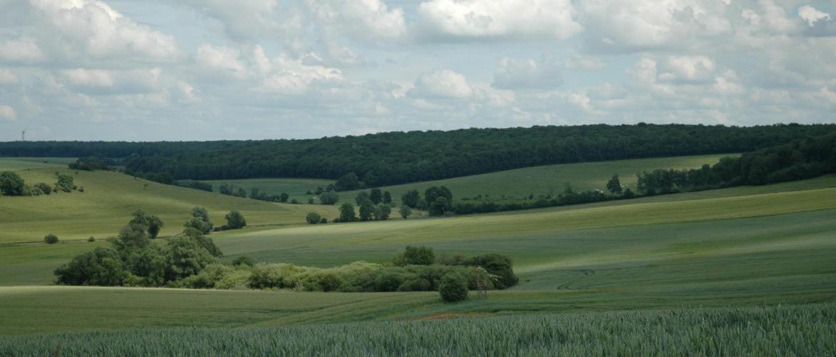 A l'avenir, le montant de base de la DJA ne devrait plus être assorti que de trois types de prime. Photo d'archives.