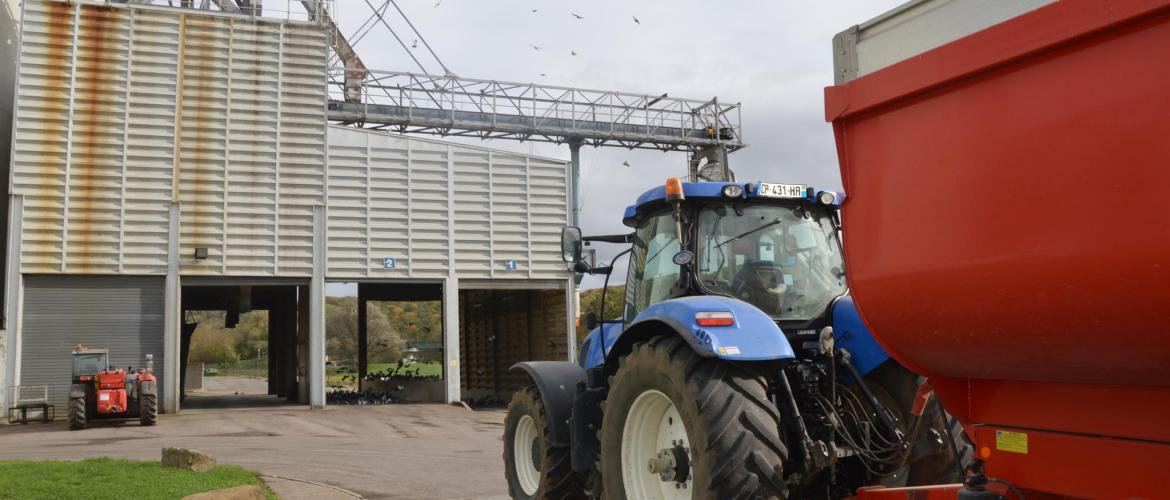 La coopération agricole Grand Est regroupe près de 200 coopératives agricoles intervenant sur l’ensemble des productions régionales : céréales, vin, lait, viande, luzerne, sucre, bois, fruits et légumes, approvisionnement, services. Photo : H.Flamant