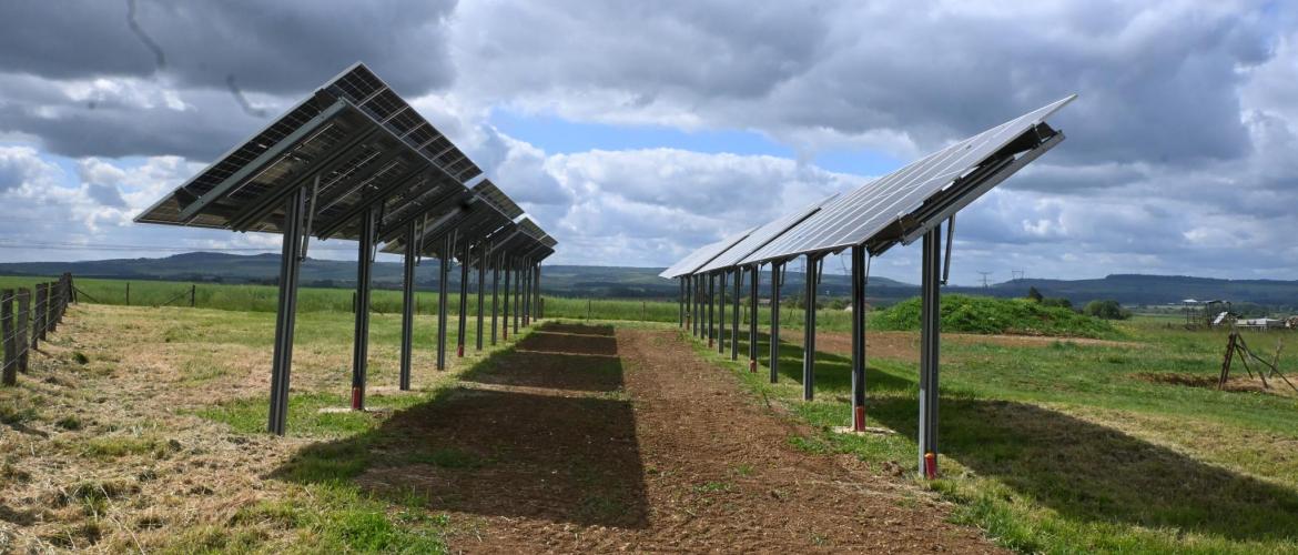 Falco Solar revendique, être la première société de conception de trackers solaires 1-axe français. Photo : J.JORIS