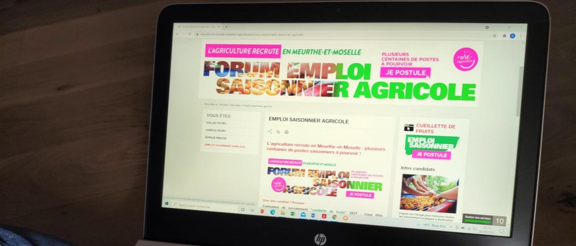 Candidats, postulez en ligne dès maintenant et venez rencontrer les recruteurs lors du Forum Emploi Saisonnier le 23 juin à Lunéville. Photo : Chambre d’agriculture 54.