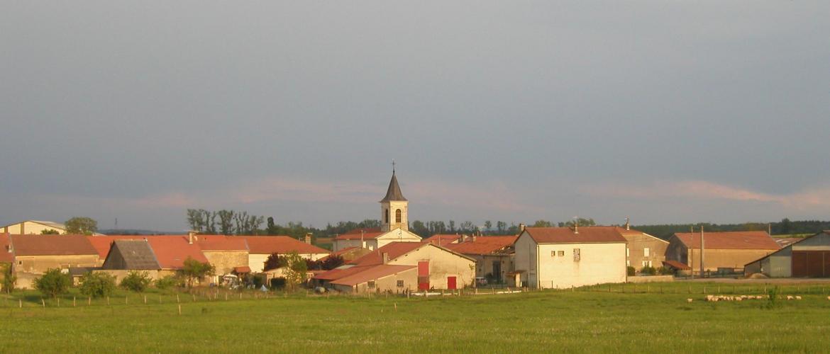 Une soixantaine d’agriculteurs du Pays Terres de Lorraine seraient potentiellement à accompagner. Photo : DR