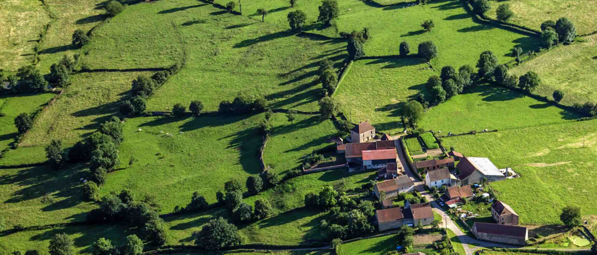 Illustration Paysage agricole France © iStock-Mulecan