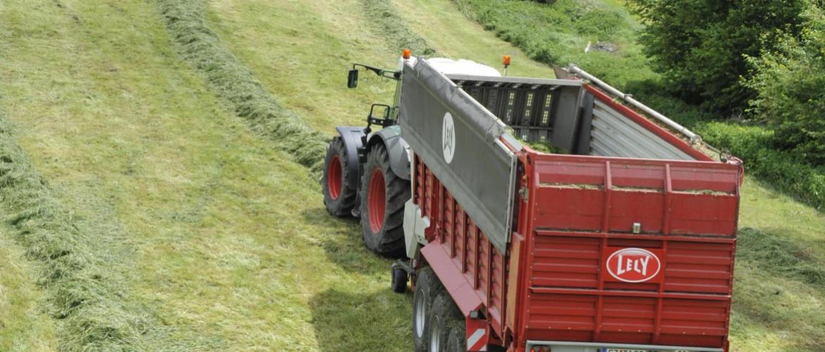 Les fourrages les plus à risque sont les ensilages d’herbe (prairies permanentes, prairies temporaires, méteils…). Les périodes  de récoltes sur des temps plus humides en sont principalement  la cause. Photo : D.R