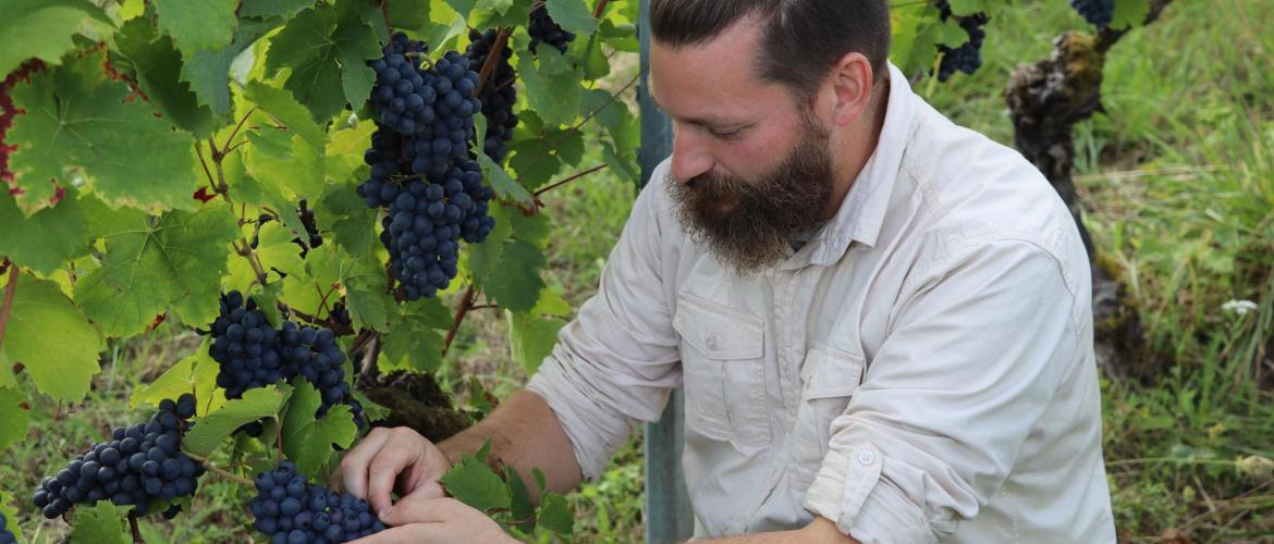 Logan Mathiot est viticulteur dans les Côtes de Toul depuis 2023.(credit photo : JJ)