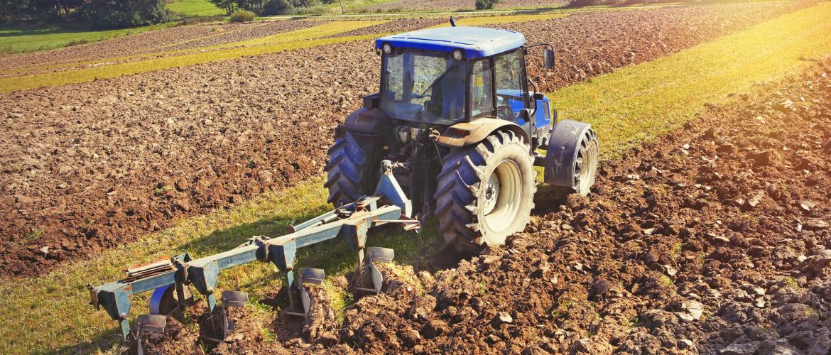 Les sénateurs ont clôturer le volet parlementaire de la loi d’urgence pour la protection et la souveraineté agricoles. © DR iStock