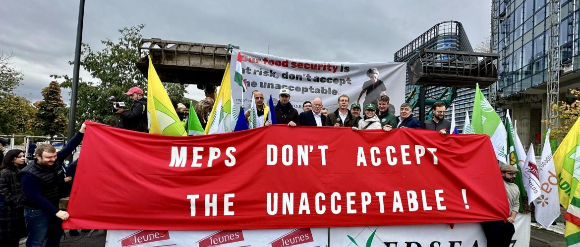 Une manifestation aux accents européens, mardi 21 octobre à Strasbourg (Crédit photo : Lucie d'Agosto)
