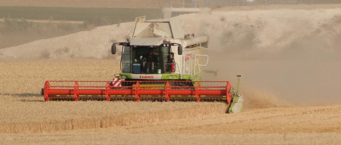 Une campagne qui s’annonce prometteuse pour la récolte des grains. Photo : Jean-Luc MASSON.