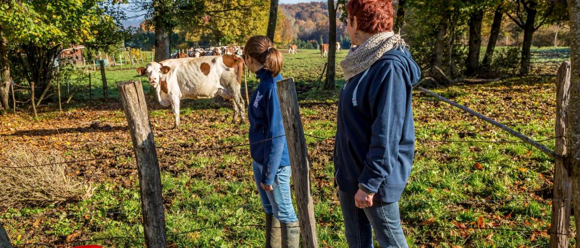 Cent-cinquante demandes de stage ont été validées depuis le printemps - Stéphane Grossin - ANEFA