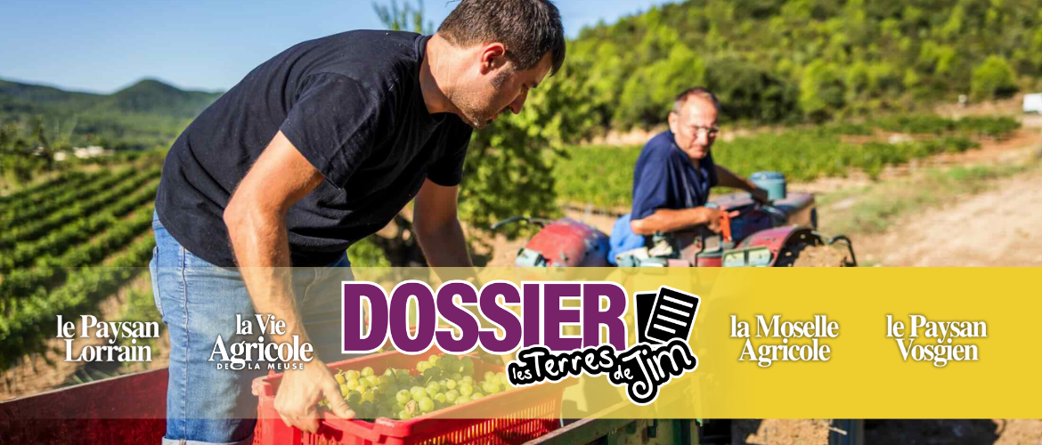 La filière agricole représente 1 263 479 actifs (chiffres MSA 2023) et près de 200 000 prévisions d’embauche (source France Travail 2025), qu’elles soient durables ou saisonnières.