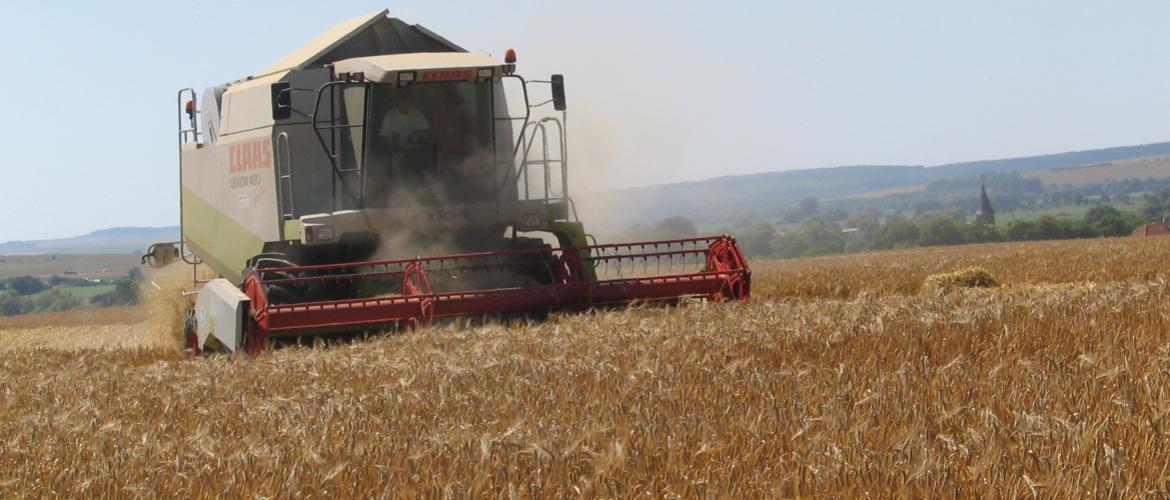 La moisson du blé battait son plein cette semaine (Photo d’archives).