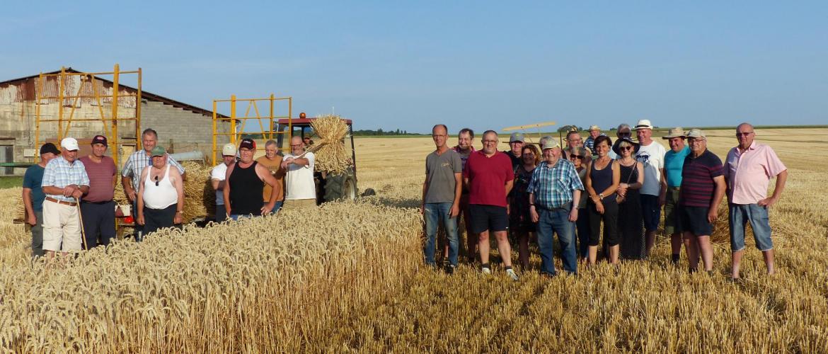 La moisson à l’ancienne s’est poursuivie par une petite fête conviviale pour les membres du conseil d‘administration du Comice. Photo : D. R.