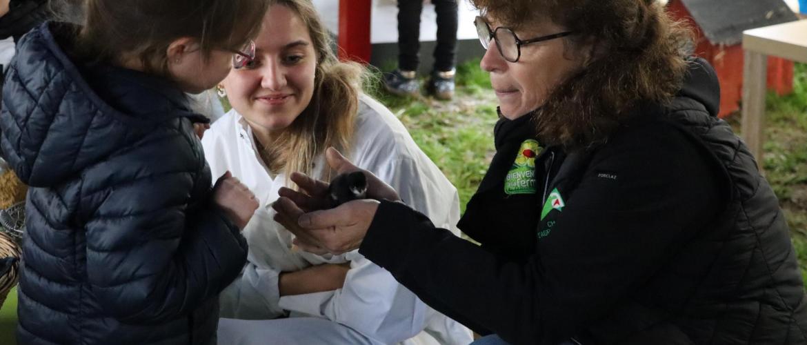 Tout en douceur, Pascale Drouville met en confiance les enfants et les invite à caresser poussins et lapins. (crédit photo : h.Flamant)