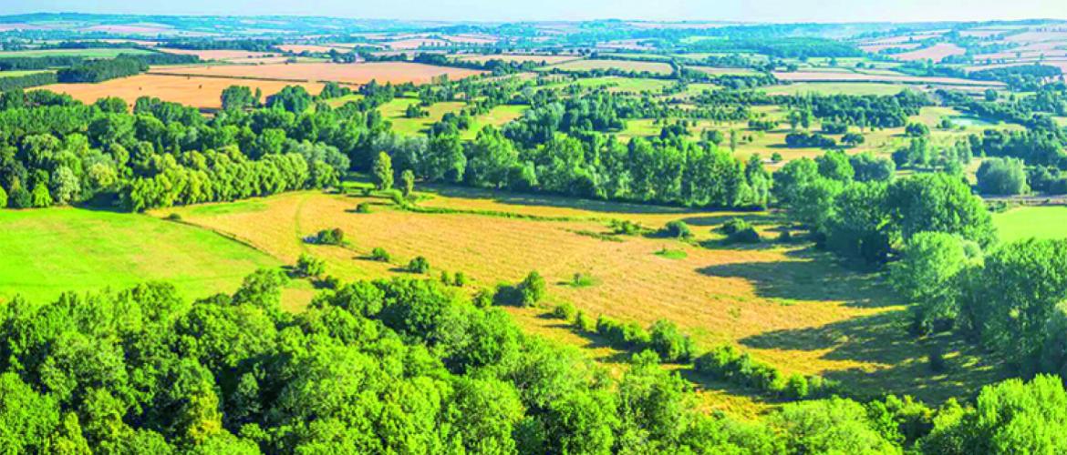 En 2025, ce sont 424.500 hectares qui ont changé de propriétaires (+5,9 %).  Photo Actuagri
