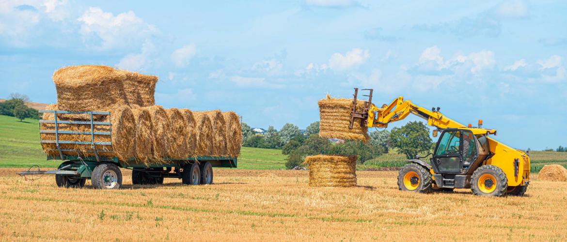 Le non-respect de l’une ou l’autre des obligations légales auxquelles sont assujeties la conduite des engins de levage peut entraîner un refus de prise en charge par votre assureur en cas de sinistre. Crédit photo : Shutterstock