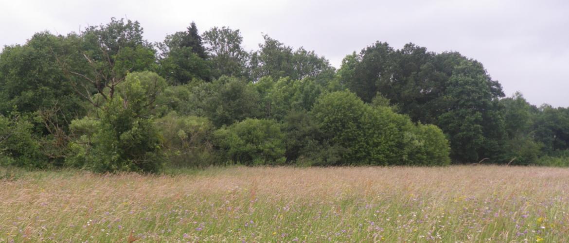 Les avis de dégrèvement arriveront dans les boîtes aux lettres des propriétaires à la mi-janvier. Photo : DR