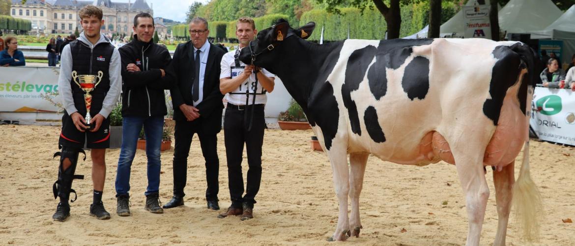 Rasberry, du Gaec Harmant Peltre à Guermange (Moselle), grande championne de Lunvéille. (crédit photo : JJ)