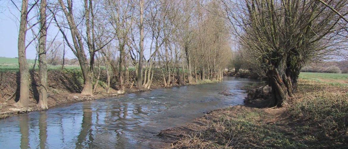 Le département est découpé en trois zones d’alerte indépendantes : la zone Meuse aval et Chiers ; la zone Moselle aval, Orne, Nied et Seille ; et la zone Moselle amont et Meurthe. Photo : JL.Masson