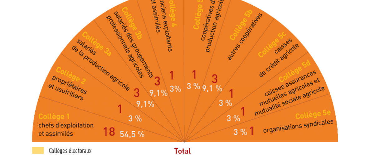 Répartition des collèges. 