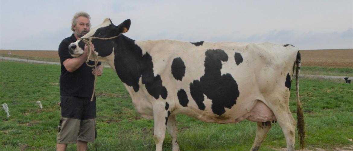 Sébastien Poinsignon et Havana (père Dorsy), une vache en septième veau, sélectionnée pour Agrimax. Photo : H.Flamant