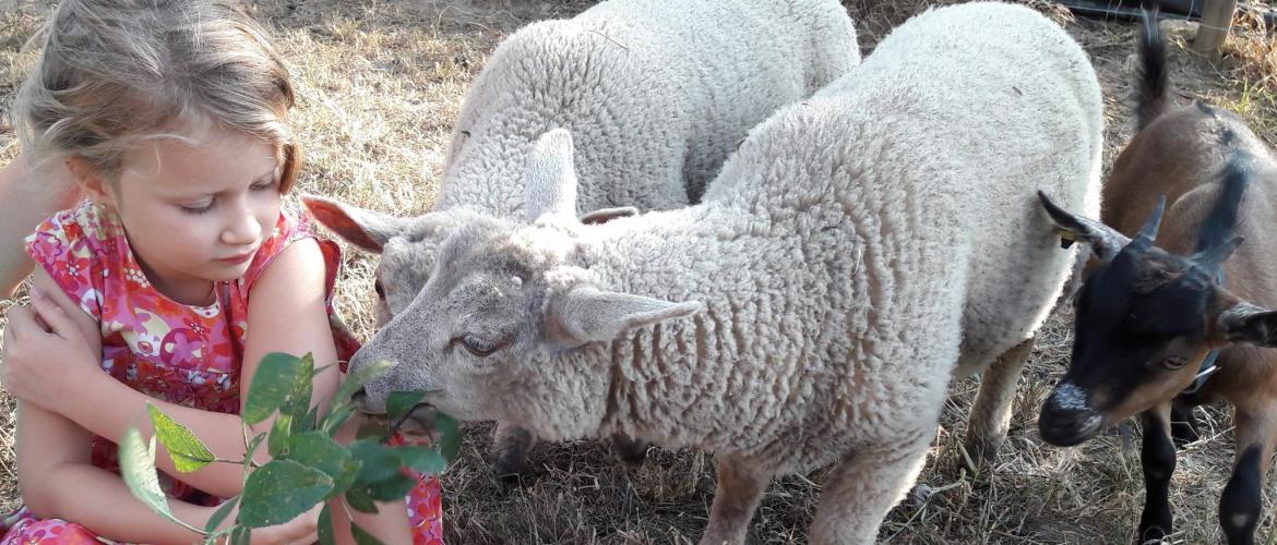 Accueillir des enfants à la ferme, un enrichissement mutuel (photo CDA 54). Accueillir des enfants à la ferme, un enrichissement mutuel (photo CDA 54).