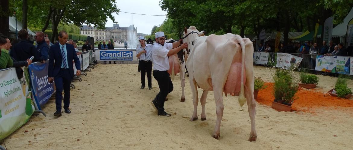 Les 30 ans de la fête de l’élevage devaient être célébrés cette année ; l’évènement est reporté en 2025. Photo : JL.Masson