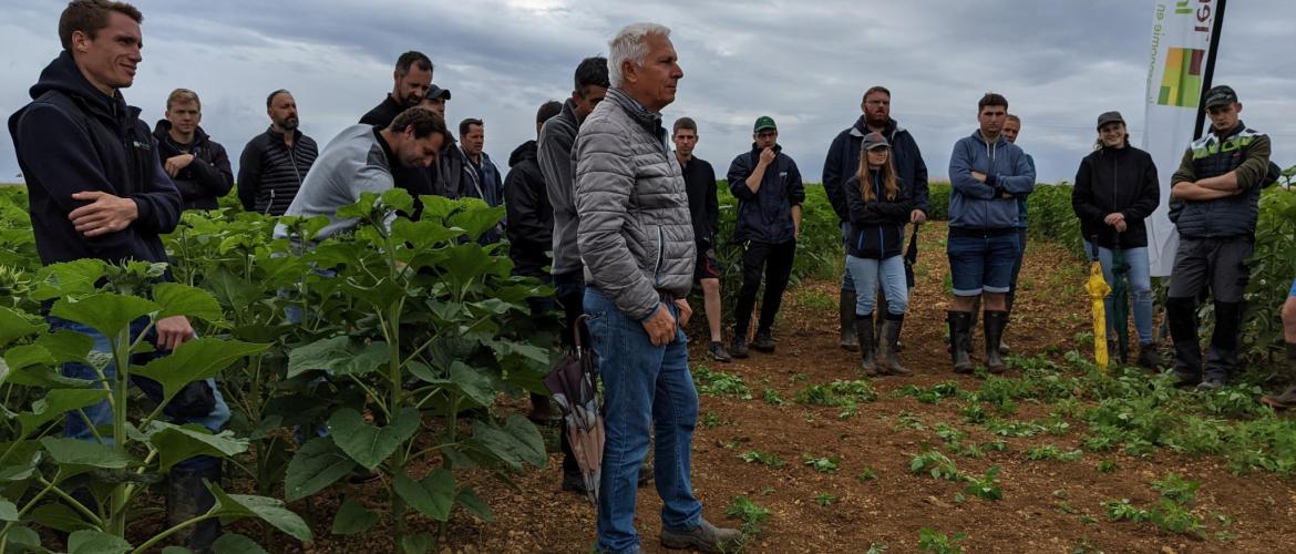 Une cinquantaine de personnes, réparties en deux groupes, sont venues échanger sur le thème du tournesol. Photo : A.Legendre