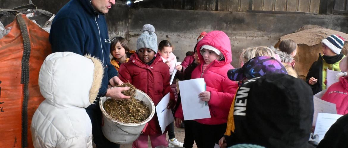 Christophe explique la ration d’une vache et estime un GMQ explosif avec les mains des enfants remplies de foin pour caresser les vaches (crédit photo : J JORIS)